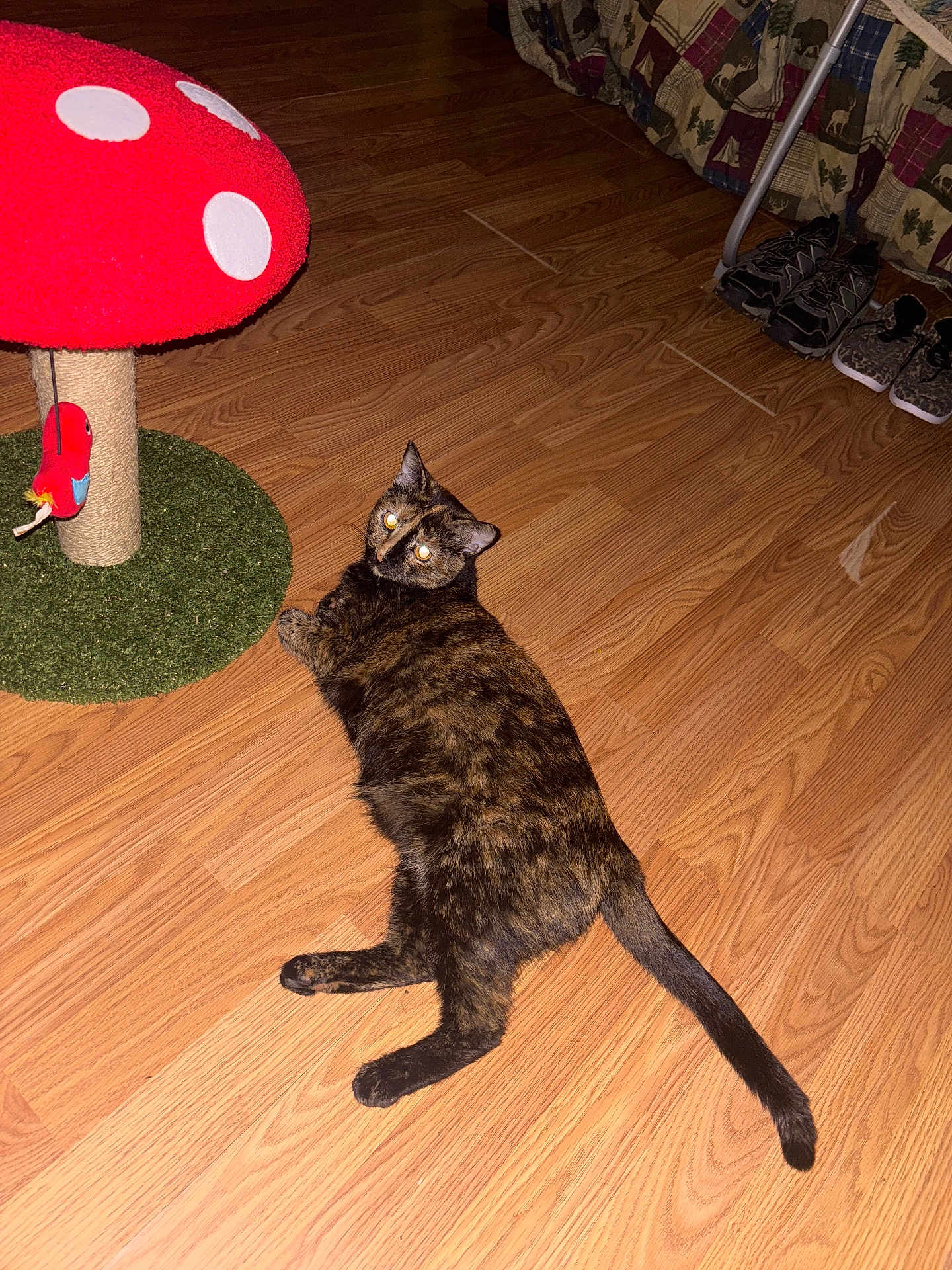 Puddin