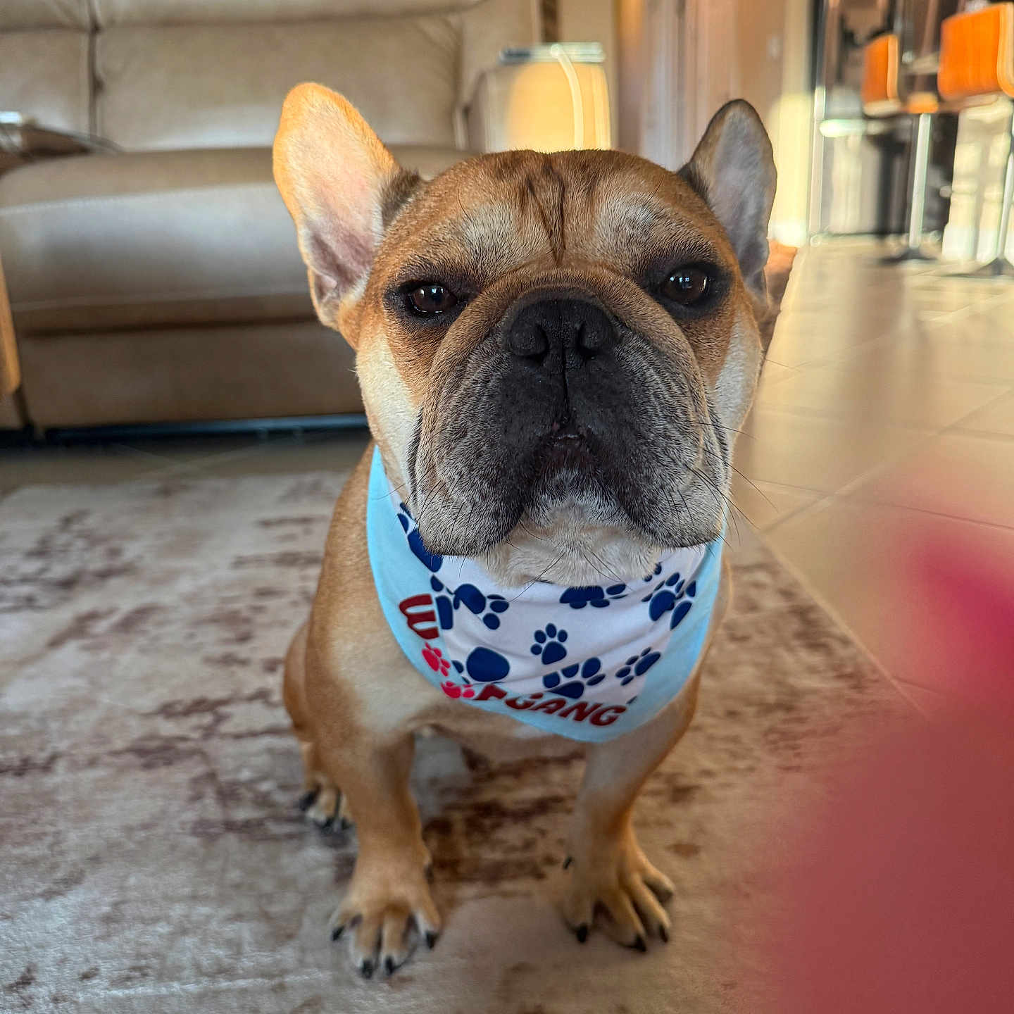 Enzo