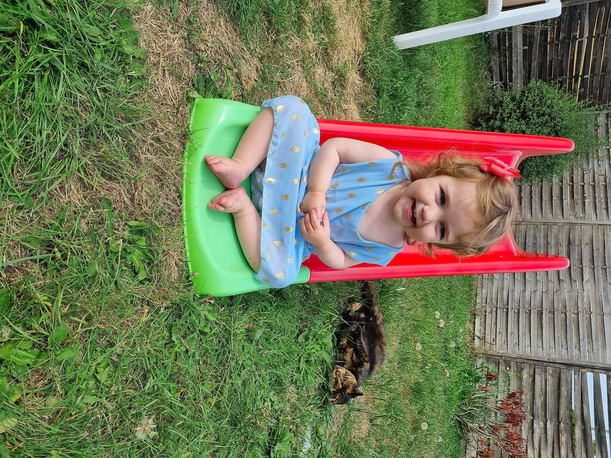 Eléonore participe au concours pour gagner de l'argent avec cette photo : child, fence, fun, garden, grass, happy, hat, joy, landscape, lawn, leisure, outdoor_play_equipment, people_in_nature, person, plant, play, recreation, smile, t_shirt, toddler