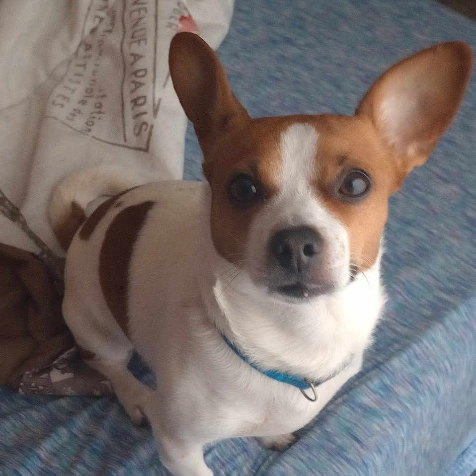Tony