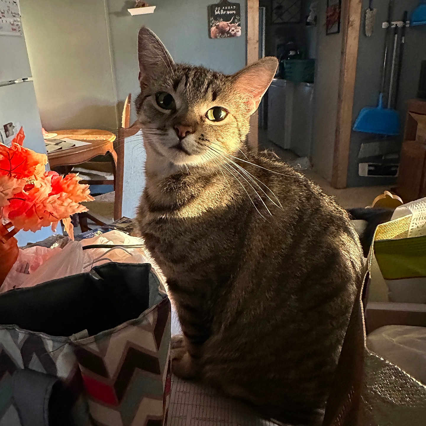 Kiki