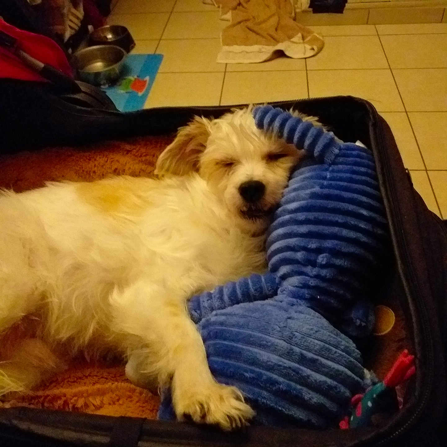 Titou