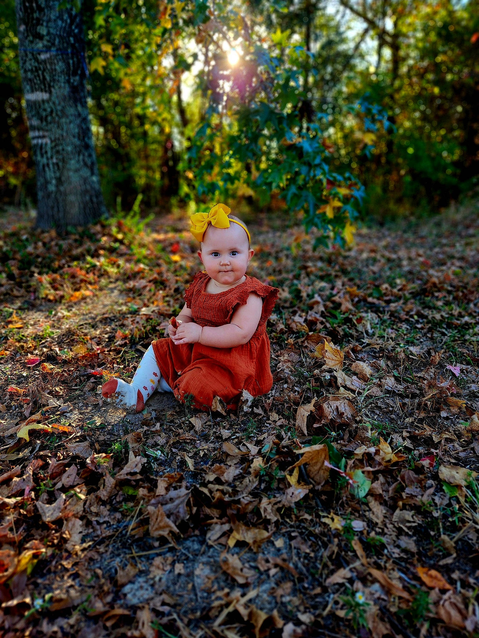 Rexleigh Elora-grace Dover is registered to the contest to win money with this photo: baby, branch, child, deciduous, forest, grass, leaf, natural_landscape, people_in_nature, person, plant, sitting, soil, sunlight, temperate_broadleaf_and_mixed_forest, tints_and_shades, toddler, tree, trunk, wood