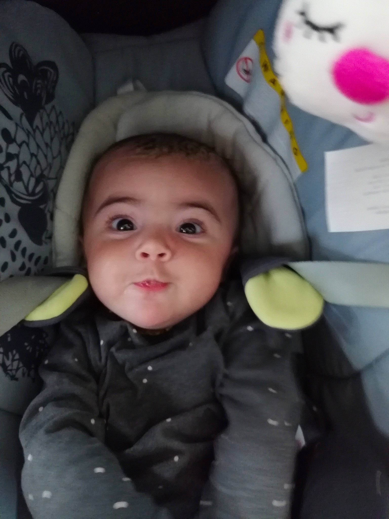 Julia participe au concours pour gagner de l'argent avec cette photo : baby, cheek, child, ear, eye, face, fun, head, lip, nose, person, skin, smile, toddler