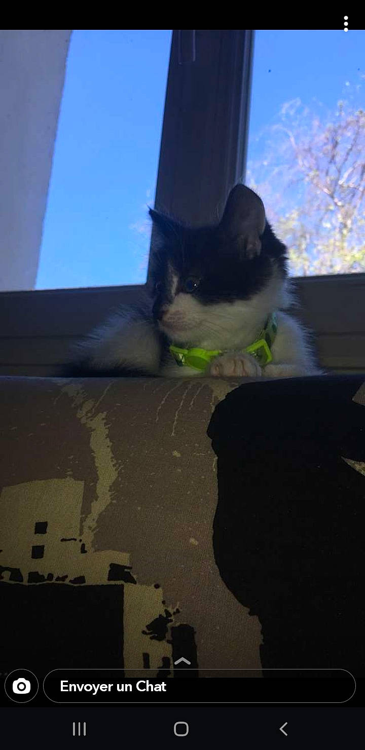 Rocky a rejoint le concours — aidez-le/la à gagner de superbes lots ! architecture, leg, plant, shadow, sky, window, wing