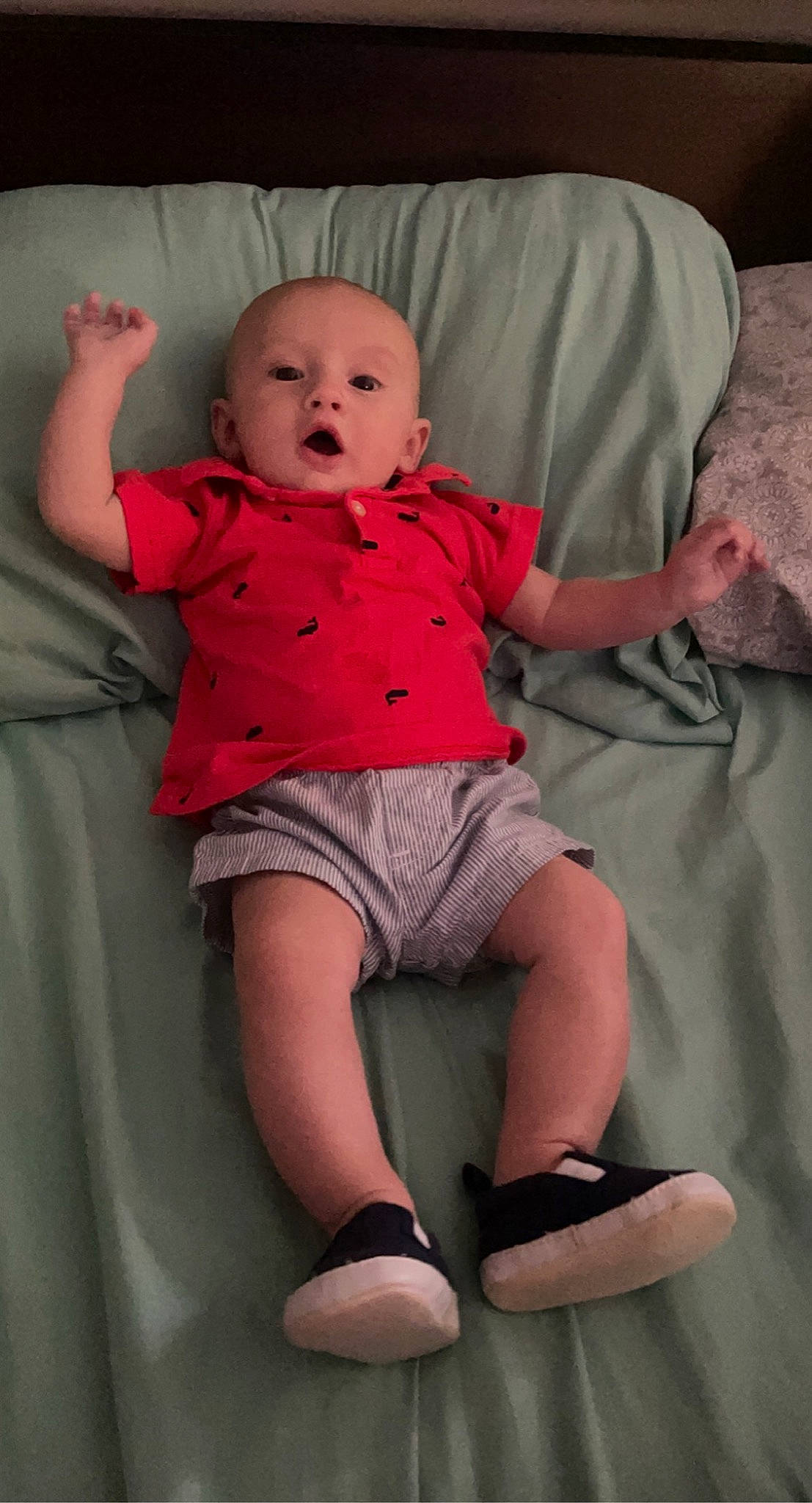 Tucker is registered to the contest to win money with this photo: arm, baby, baby_toddler_clothing, child, comfort, elbow, flash_photography, happy, human_body, human_leg, joint, knee, person, pink, shorts, skin, sleeve, surprise, t_shirt, textile