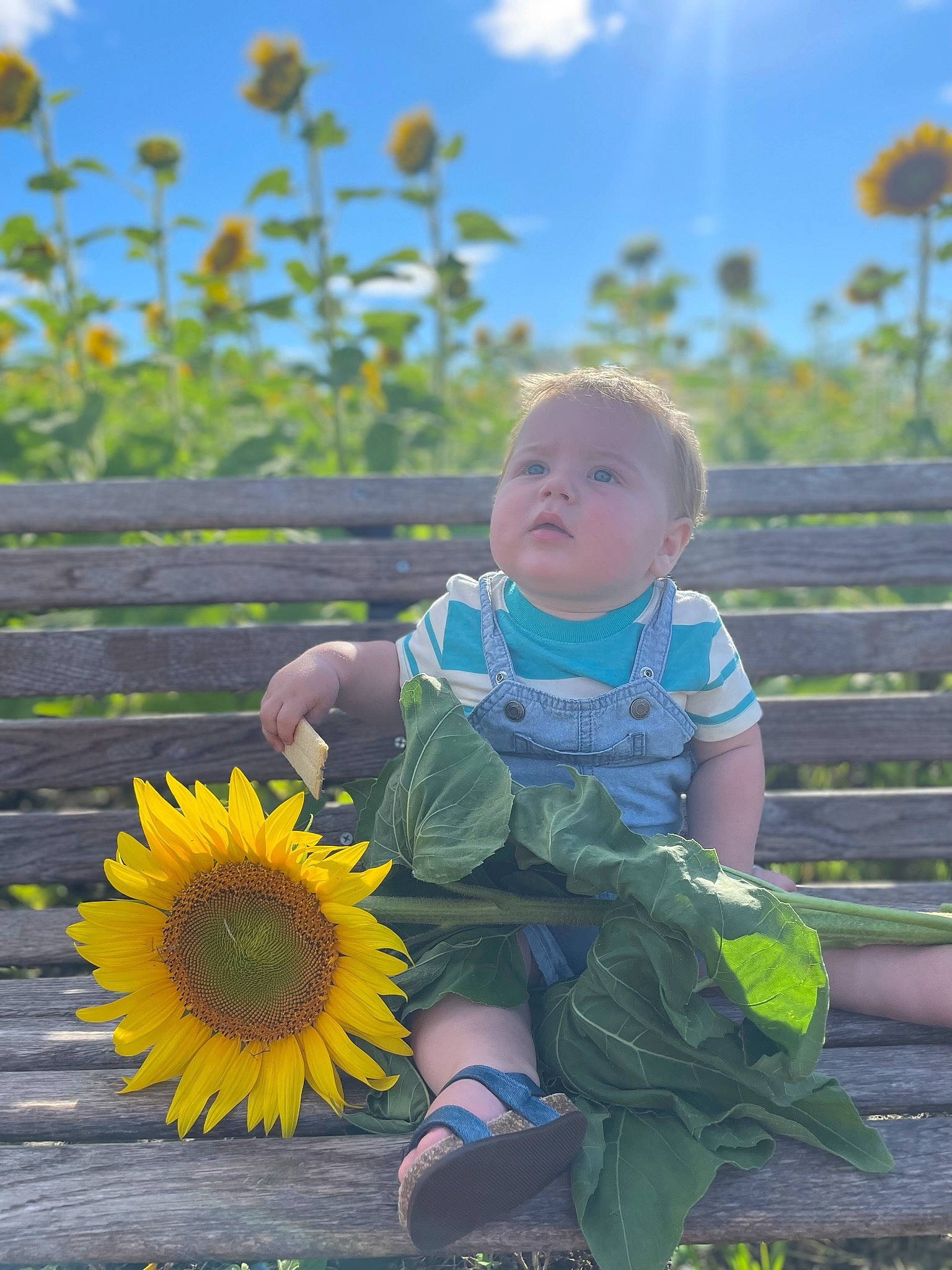 Colter joined the competition — help win amazing prizes! baby, baby_toddler_clothing, botany, cloud, field, flower, flowering_plant, fun, grass, grassland, happy, landscape, leaf, leisure, people_in_nature, person, petal, plant, sky, spring