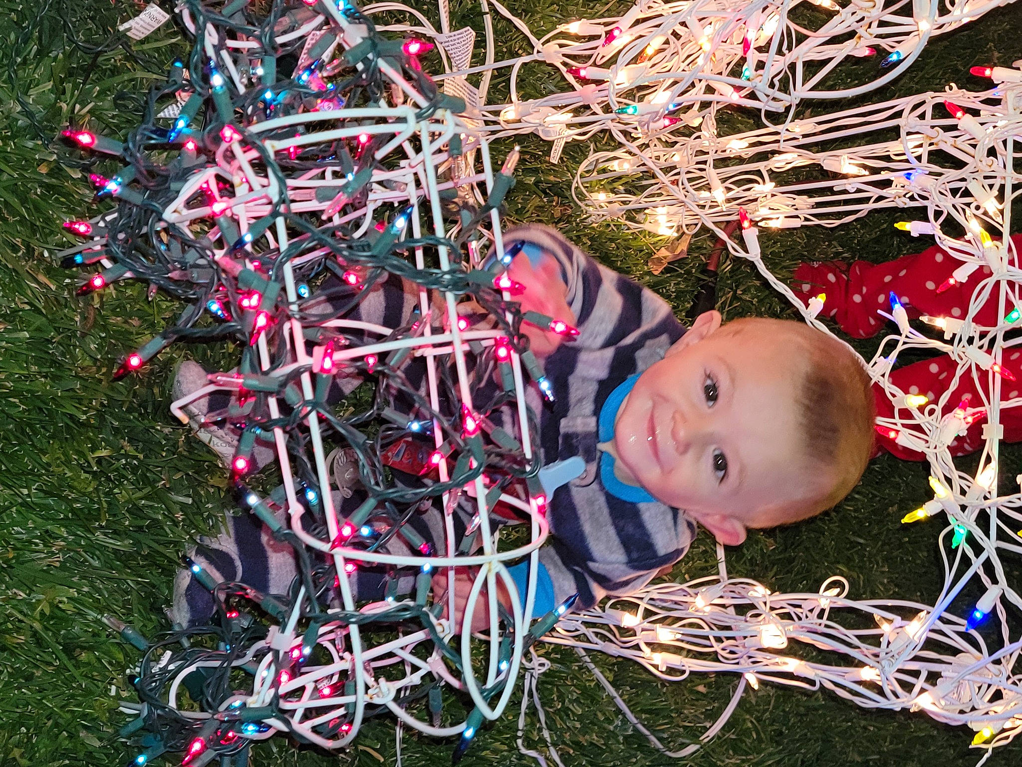 Craig is registered to the contest to win money with this photo: branch, christmas_decoration, christmas_ornament, electric_blue, event, fun, grass, happy, holiday, magenta, ornament, people_in_nature, person, pink, plant, toddler, tree, twig, winter, wood