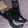 cat, black_cat, pet, animal, feline, indoor, couch, striped, fur, tail, yellow_eyes, relaxed, sitting, furniture, domestic, cute, whiskers, portrait, home, resting