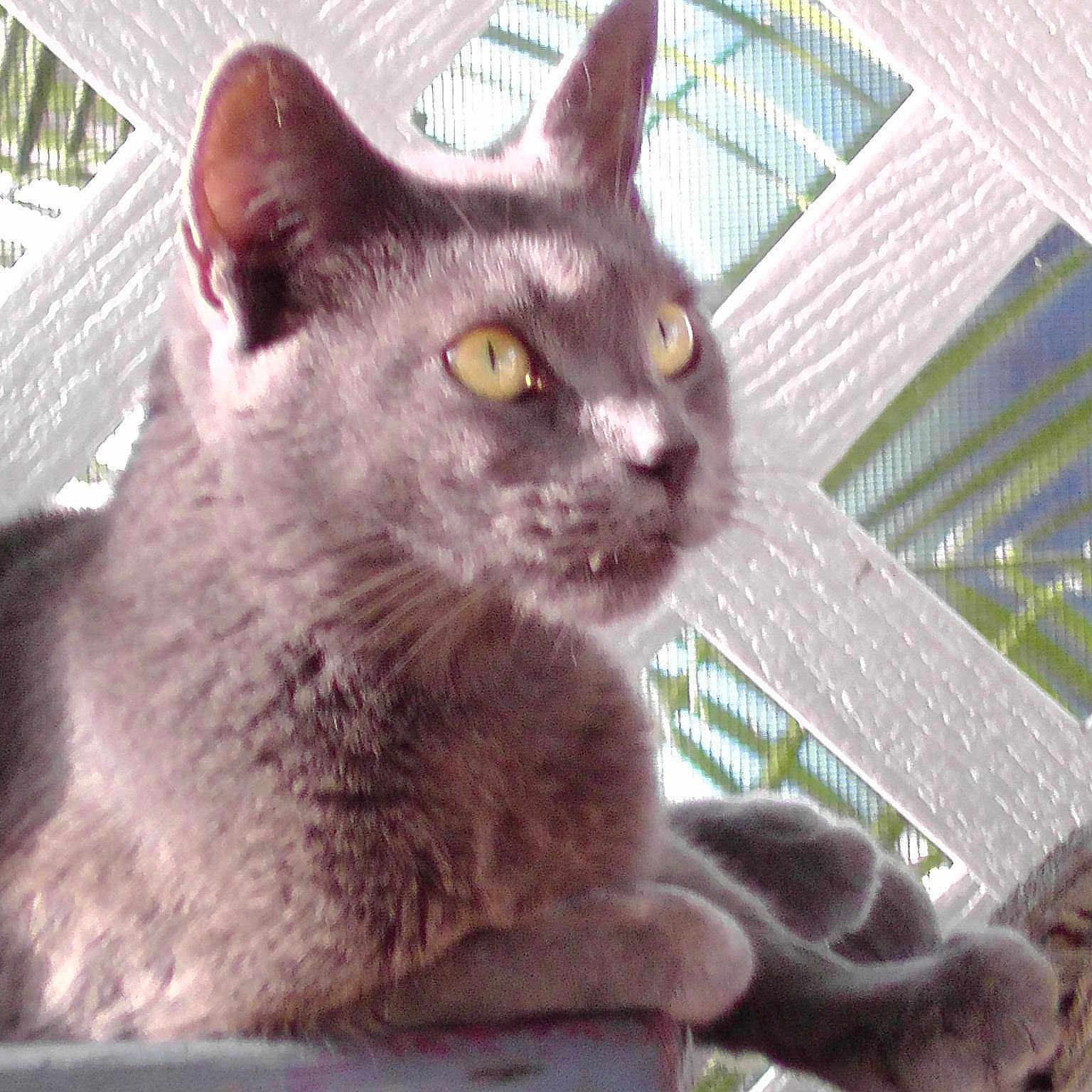 Sammie is registered to the contest to win money with this photo: