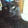 Tuffy is registered to the contest to win money with this photo: