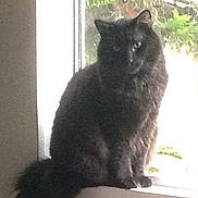 Tuffy is registered to the contest to win money with this photo:
