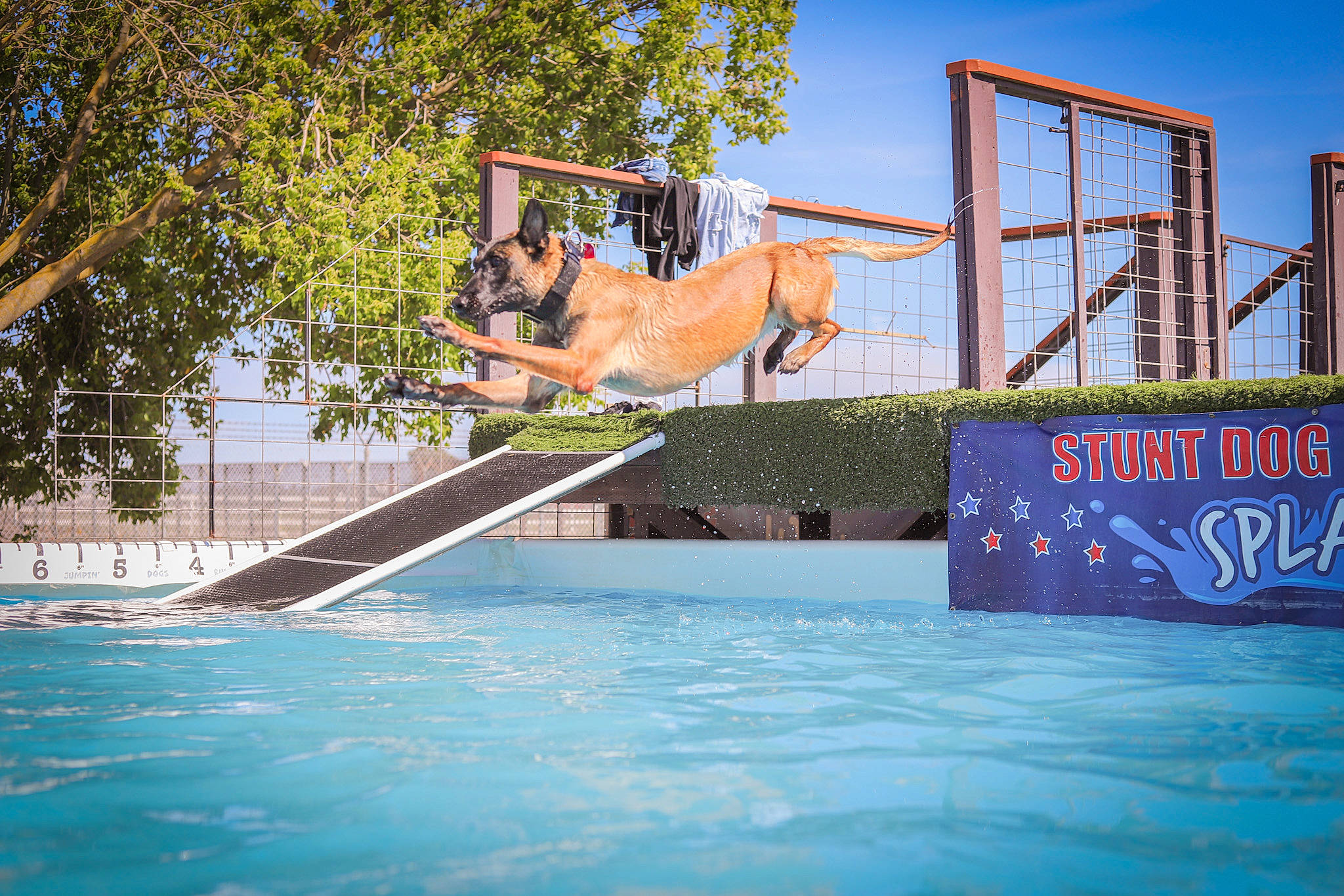 Rogue is registered to the contest to win money with this photo: building, carnivore, chute, city, composite_material, fun, leisure, leisure_centre, nonbuilding_structure, outdoor_furniture, outdoor_play_equipment, outdoor_recreation, plant, recreation, sky, sports, summer, swimming_pool, tree, water