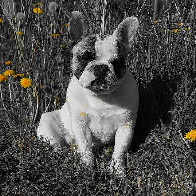 Heidy a rejoint le concours — aidez-le/la à gagner de superbes lots !