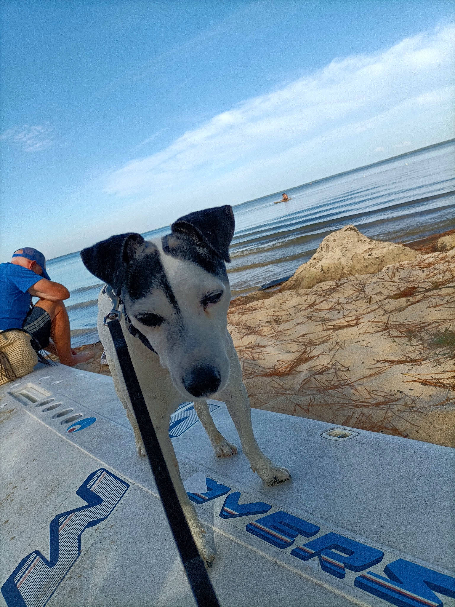 Diesel a rejoint le concours — aidez-le/la à gagner de superbes lots ! adventure, canidae, carnivore, cloud, collar, companion_dog, dog, dog_breed, dog_collar, lake, leisure, non_sporting_group, ocean, recreation, sighthound, sky, sporting_group, water, working_animal, working_dog