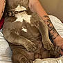 Jangalang joined the competition — help win amazing prizes! dog, brown, white_patches, tattoo, arm, paw, relaxed, lounging, lap, blanket, cozy, indoor, pet, fur, animal, domestic, canine, resting, comfort, human