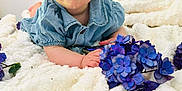 Ambre a rejoint le concours — aidez-le/la à gagner de superbes lots ! accessories, anemone, baby, clothing, daisy, face, flower, flowerarrangement, flowerbouquet, geranium, head, pants, person, petal, photography, plant, portrait, purple, quilt, sitting