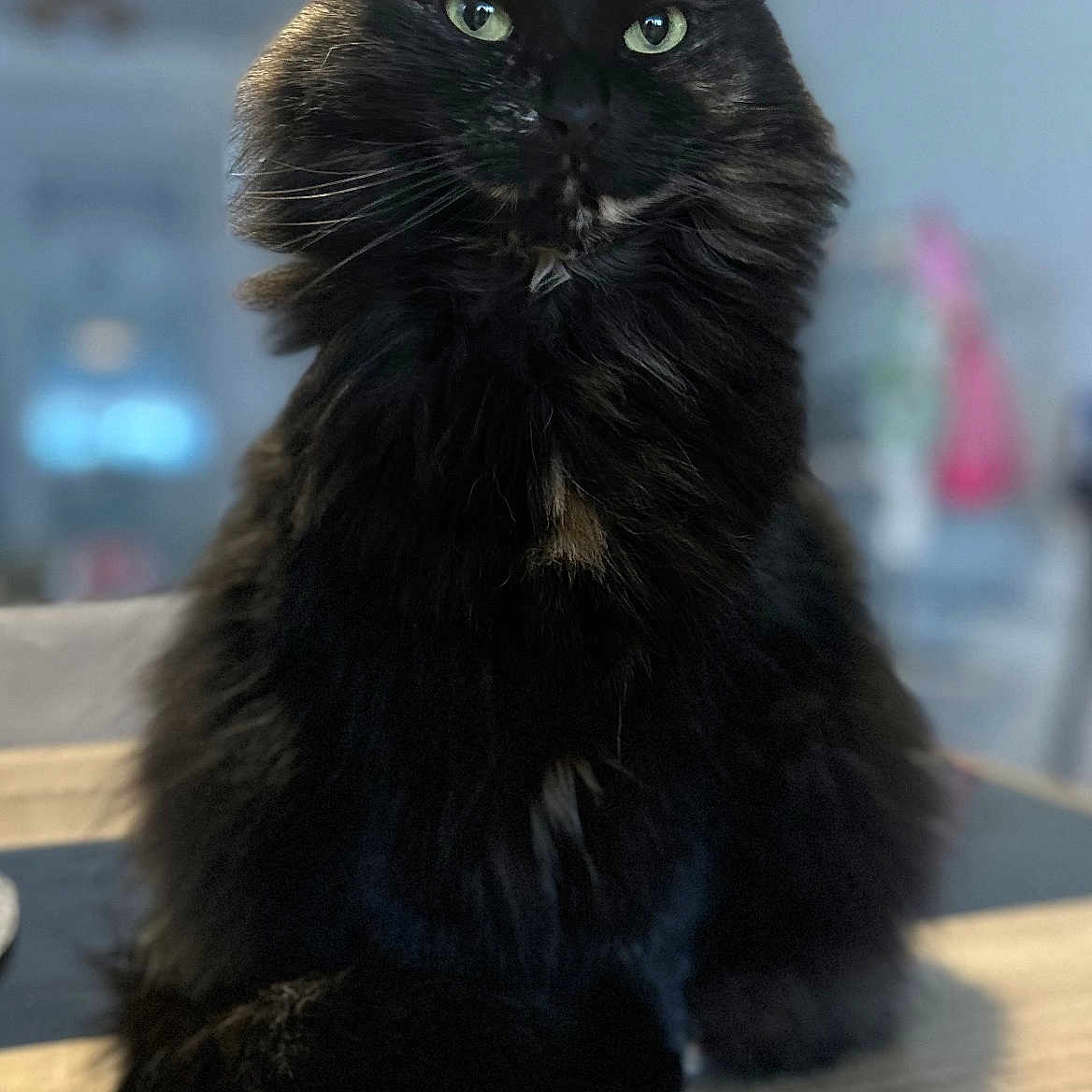 Nala