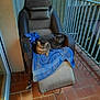 Bianca a rejoint le concours — aidez-le/la à gagner de superbes lots ! cat, cats, chair, recliner, towel, balcony, tiles, outdoor, pets, feline, resting, two_animals, evening, urban, relaxing, domestic_animals, fur, companions, window, railing