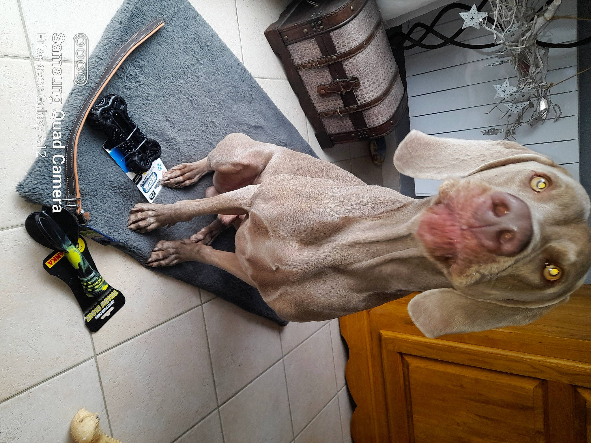 Presley participe au concours pour gagner de l'argent avec cette photo : art, bag, barefoot, comfort, fashion_accessory, finger, flesh, flooring, foot, gesture, hand, human_leg, knee, luggage_and_bags, pattern, personal_protective_equipment, room, visual_arts, wood, wrist