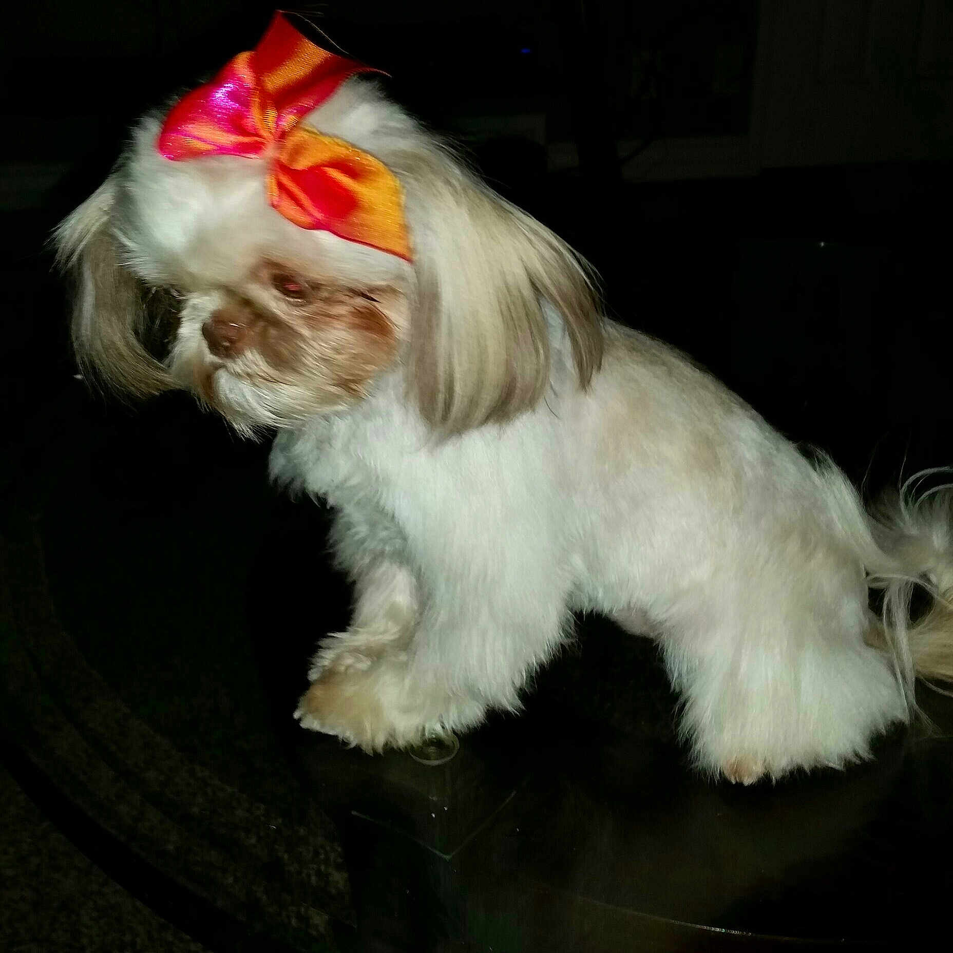 Minnie