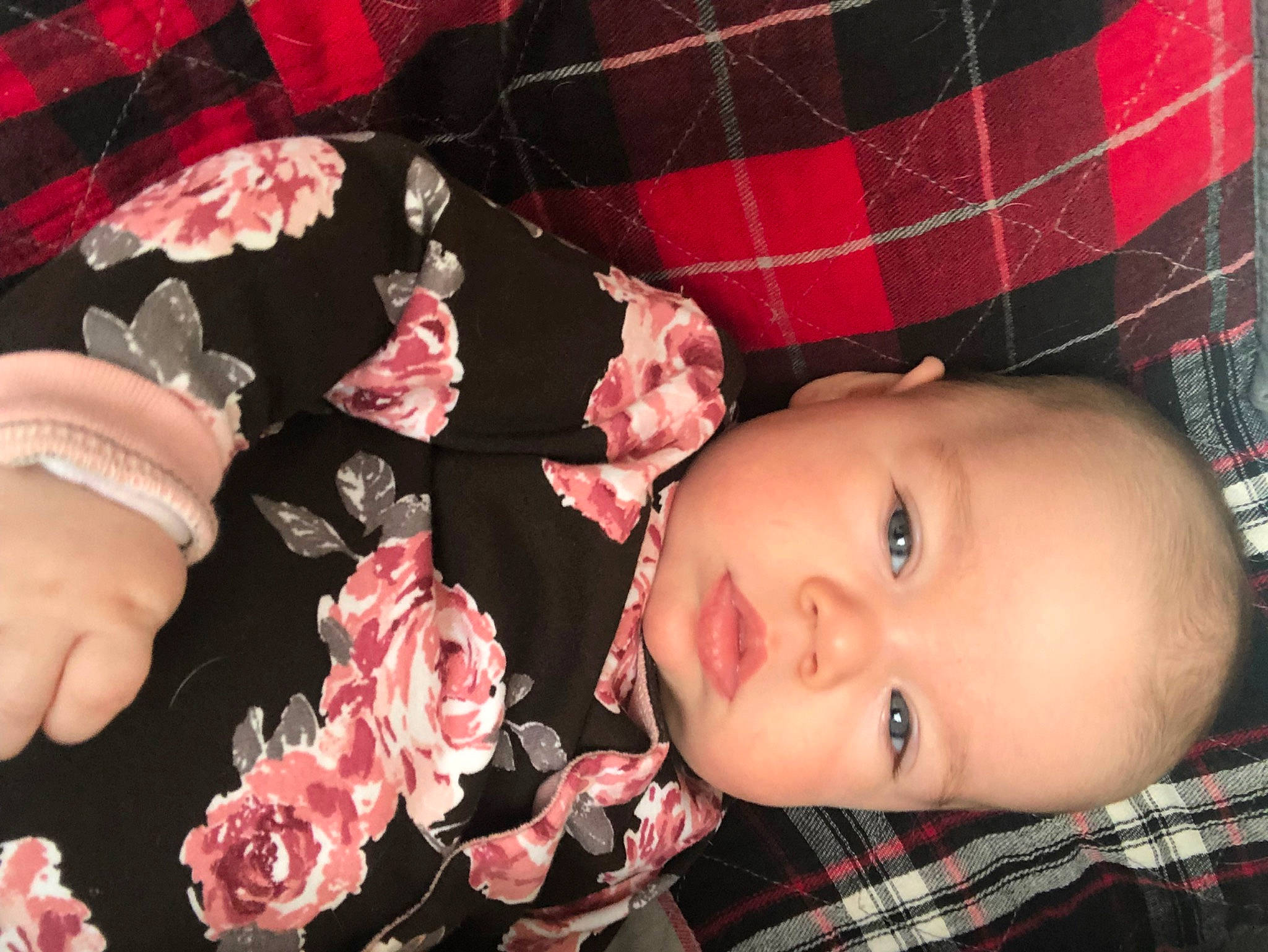 Louanne a rejoint le concours — aidez-le/la à gagner de superbes lots ! baby, baby_toddler_clothing, beauty, cheek, child, eye, head, lip, mouth, nail, person, petal, pink, plaid, plant, red, rose, skin, tartan, textile