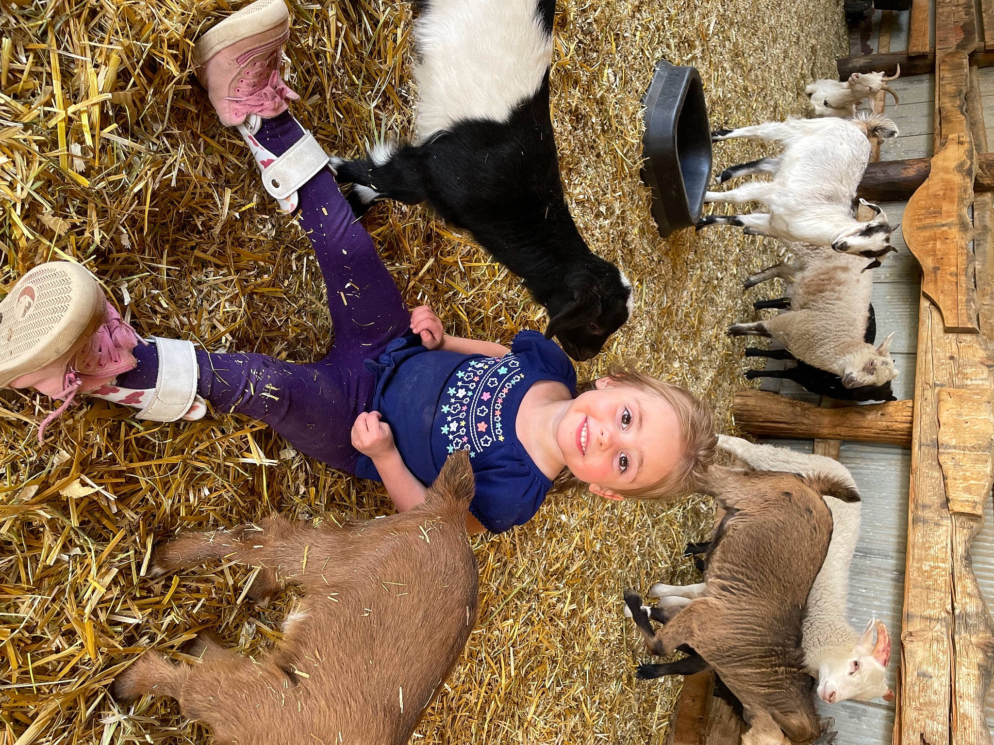 Nya joined the competition — help win amazing prizes! adventure, boot, child, fun, grass, happy, hat, human_leg, joy, landscape, leisure, people_in_nature, person, recreation, sand, shadow, sitting, soil, sunglasses, toddler