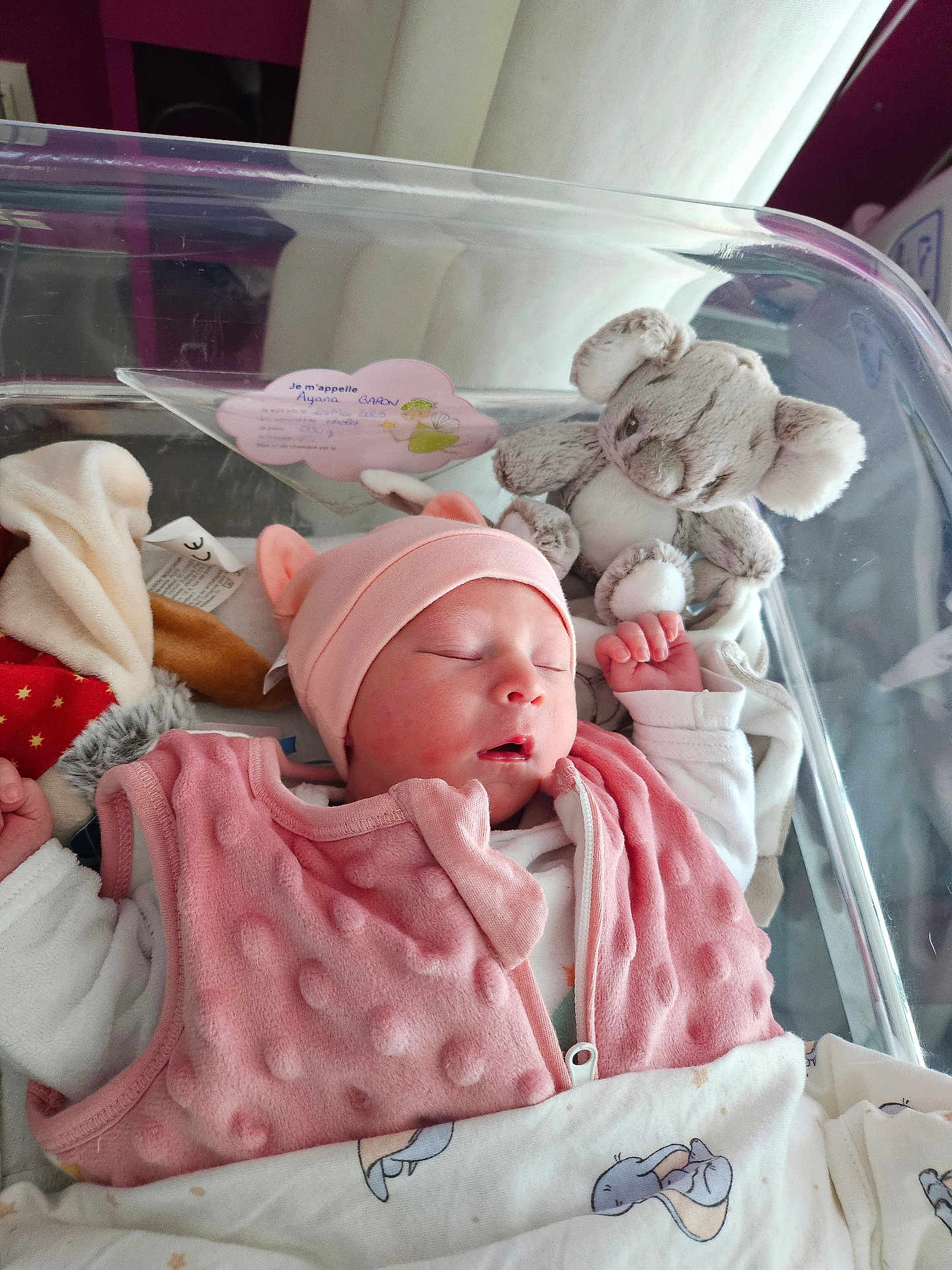 Ayana participe au concours pour gagner de l'argent avec cette photo : newborn, baby, sleeping, pink_clothing, hat, blanket, plush_toy, koala, hospital_bassinet, infant, child, soft_toys, sleep, person, cute, indoors, bed, rest, newborn_care, cozy
