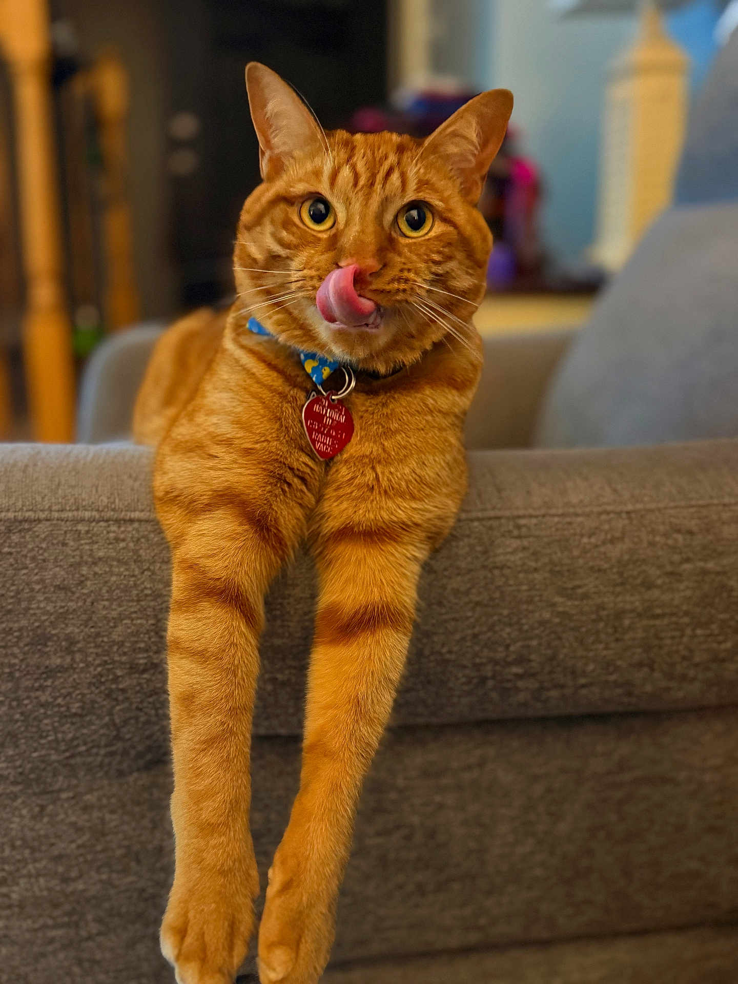 Tater Tot