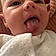 Phoebe