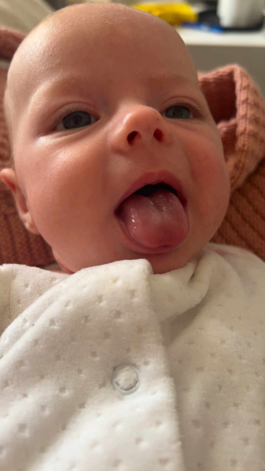 Phoebe