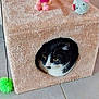 cat, cat_house, furniture, toy, plush_toy, black_and_white_cat, pet, indoor, cozy, circular_entrance, fuzzy_texture, floor_tiles, resting, animal, cute, domestic_cat, playful, household, feline, pet_toy