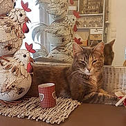 Twister participe au concours pour gagner de l'argent avec cette photo : cat, tabby_cat, decorative_chicken, ceramic, stacked_objects, mirror, reflection, lighting, lamp, countertop, cup, table_mat, indoor, furniture, relaxed, pet, animal, home, cozy, ornament