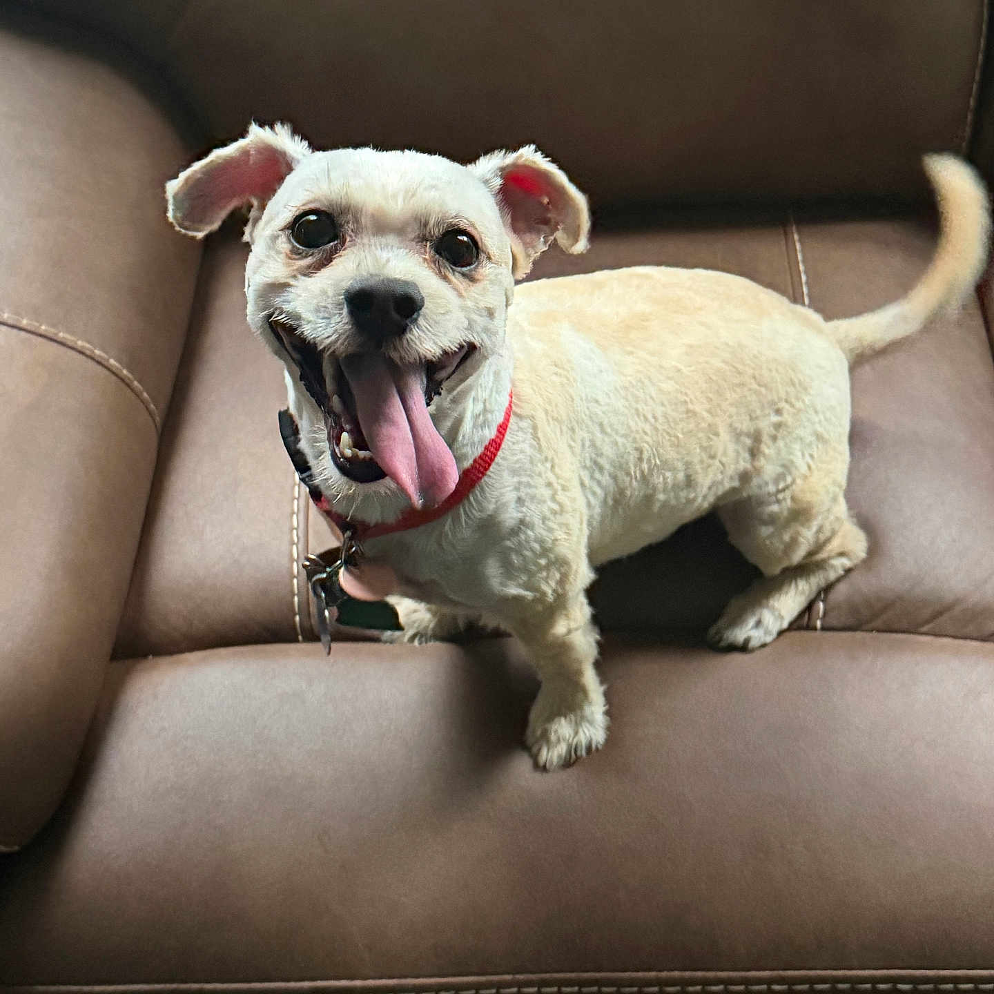 Coco
