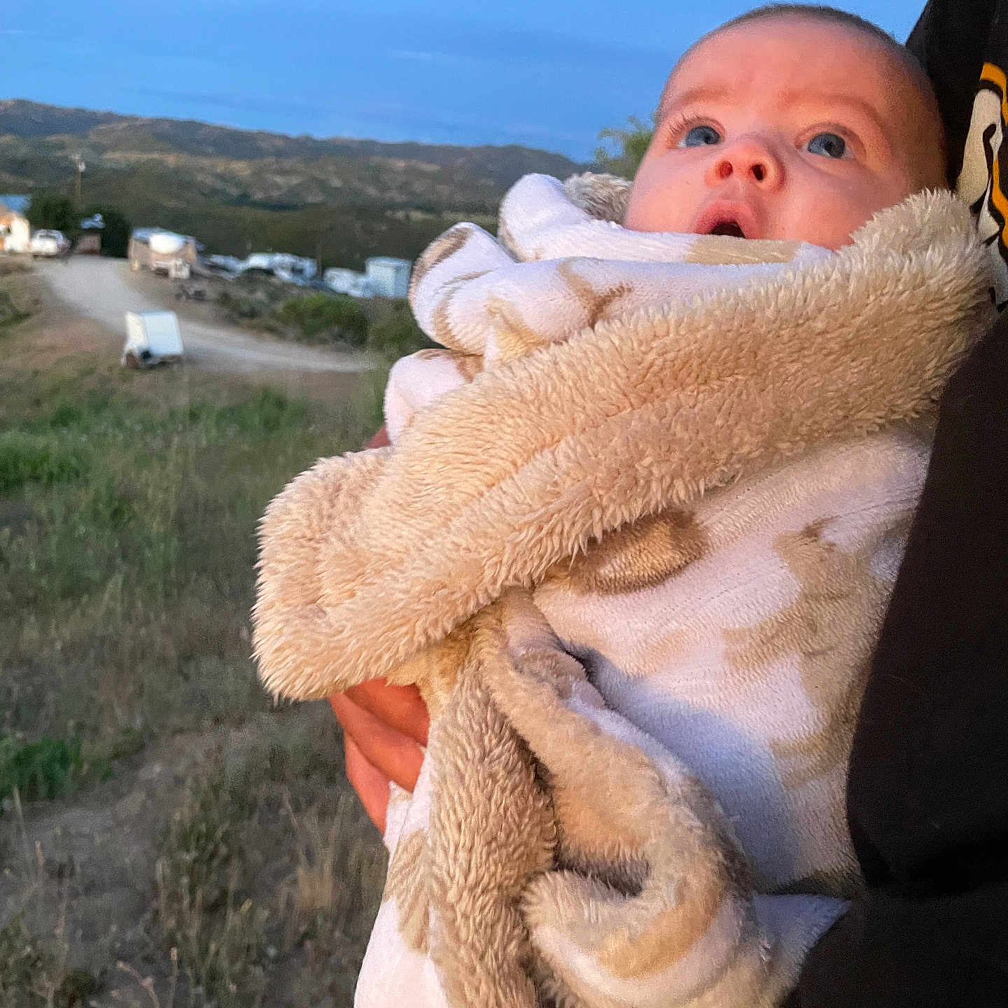 Rosetta joined the competition — help win amazing prizes! baby, blanket, child, person, outdoor, twilight, hill, road, grass, wrapped, fluffy, holding, blue_sky, nature, expression, curious, portrait, warm, daylight, scenery