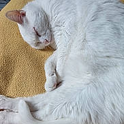 Léa participe au concours pour gagner de l'argent avec cette photo :