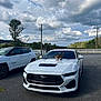 Xena is registered to the contest to win money with this photo: cat, car, mustang, white_car, outdoor, parking_lot, cloudy_sky, tree, fence, asphalt, vehicle, animal, pet, road, nature, daytime, sedan, parked_car, wildlife, sky