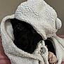Nos is registered to the contest to win money with this photo: animal, bathtowel, bear, blanket, canine, clothing, dog, fleece, hood, hound, labradorretriever, laundry, pet, puppy, quilt, towel