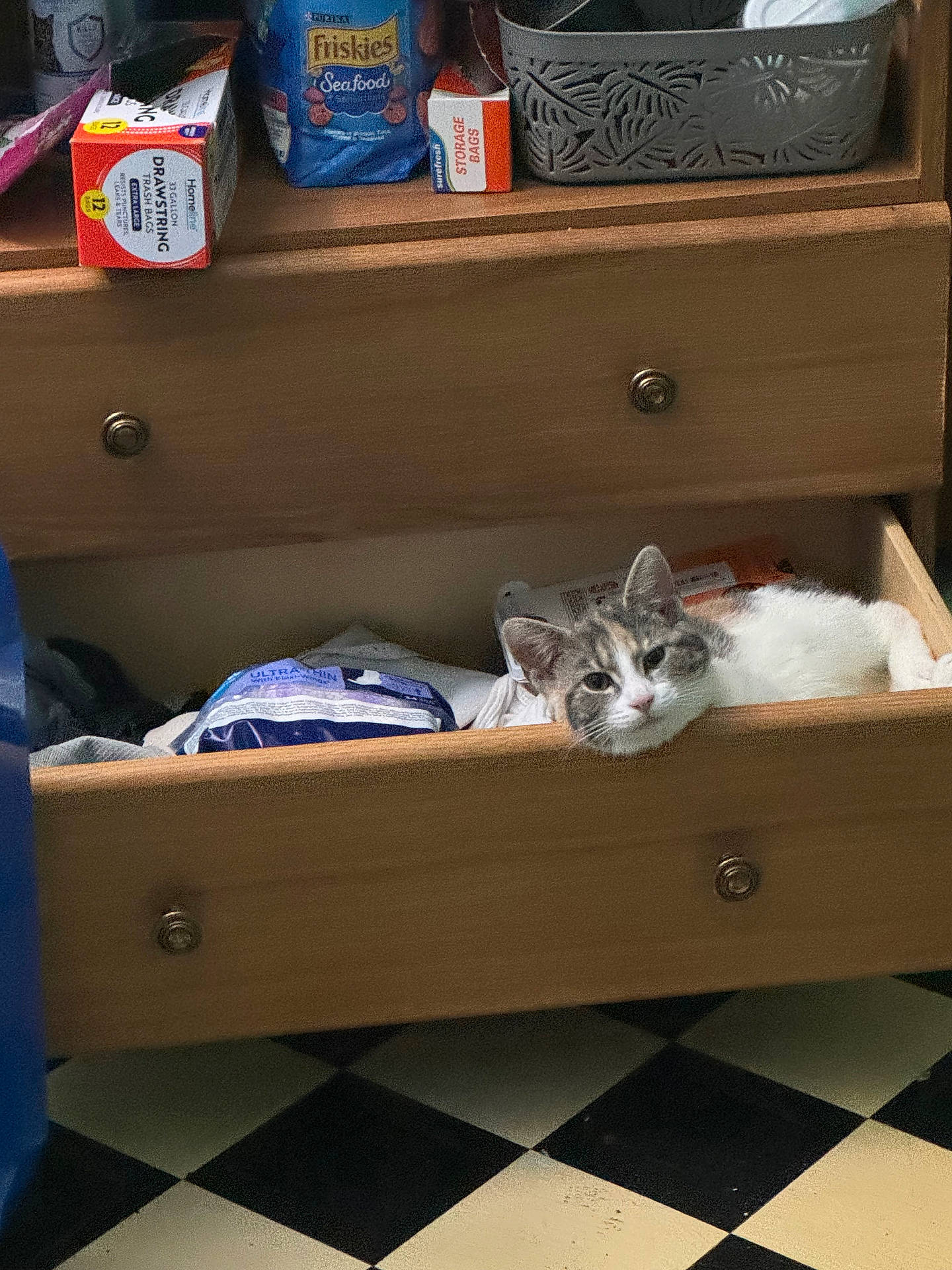 animal, cat, checkered_floor, clothes, cozy, curious, domestic, drawer, dressing_table, floor, furniture, gray_white_cat, household_items, indoor, living_space, pet, relaxed, resting, storage, wood