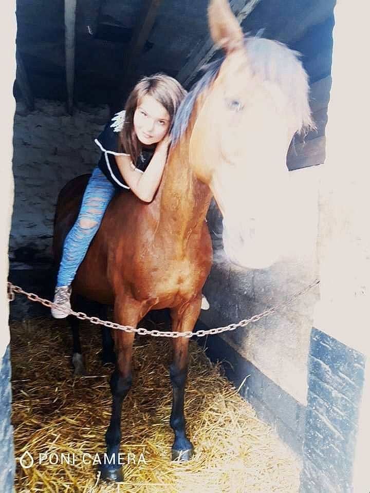 Sam a rejoint le concours — aidez-le/la à gagner de superbes lots ! bridle, equestrian, horse, horse_like_mammal, horse_supplies, horse_tack, mane, mare, mustang_horse, neck, pack_animal, person, rein, stallion