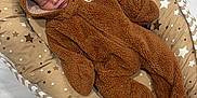 Bohdie is registered to the contest to win money with this photo: baby, bear_ears, bed, blanket, brown, child, cozy, cushion, cute, fuzzy, indoor, infant, newborn, onesie, pattern, person, resting, sleeping, soft, stars