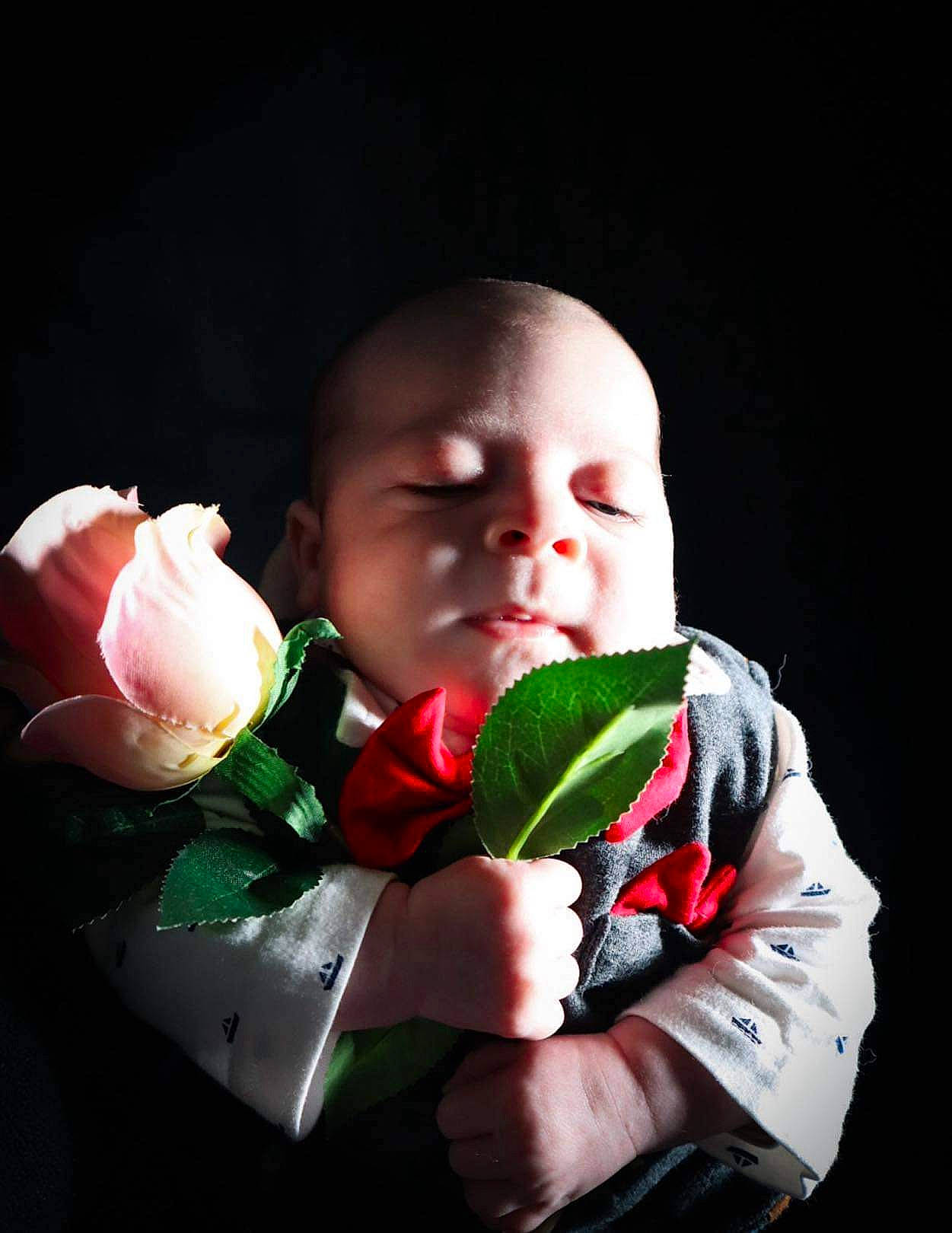 Simeo a rejoint le concours — aidez-le/la à gagner de superbes lots ! baby, carmine, cut_flowers, darkness, event, flash_photography, flower, flower_arranging, formal_wear, happy, headgear, hybrid_tea_rose, lip, person, petal, plant, rose, rose_family, rose_order, toddler