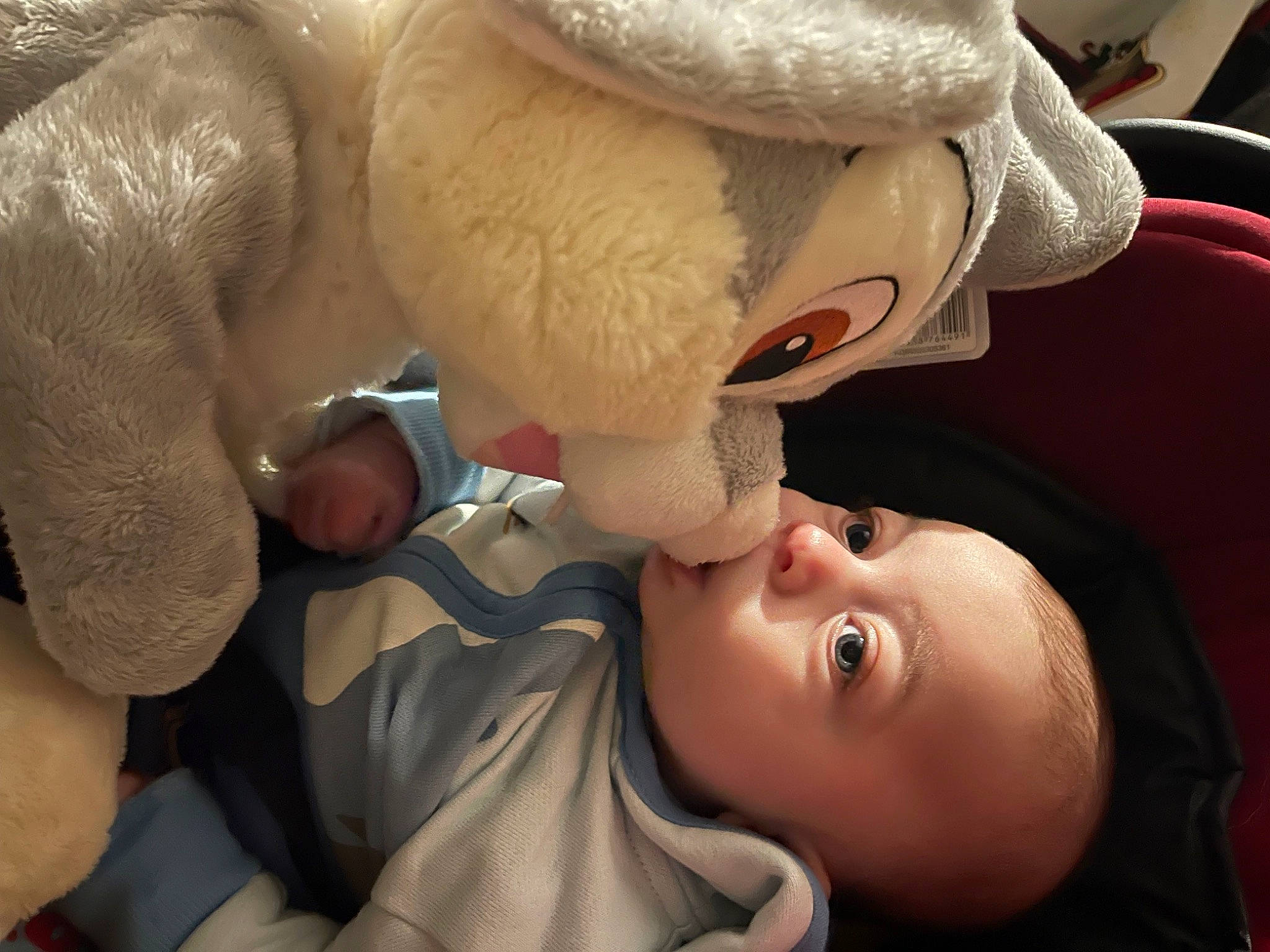 Simeo a rejoint le concours — aidez-le/la à gagner de superbes lots ! baby, baby_products, baby_sleeping, cheek, child, comfort, ear, eye, eyelash, fun, gesture, happy, head, lip, mouth, nose, person, skin, stuffed_toy, toddler