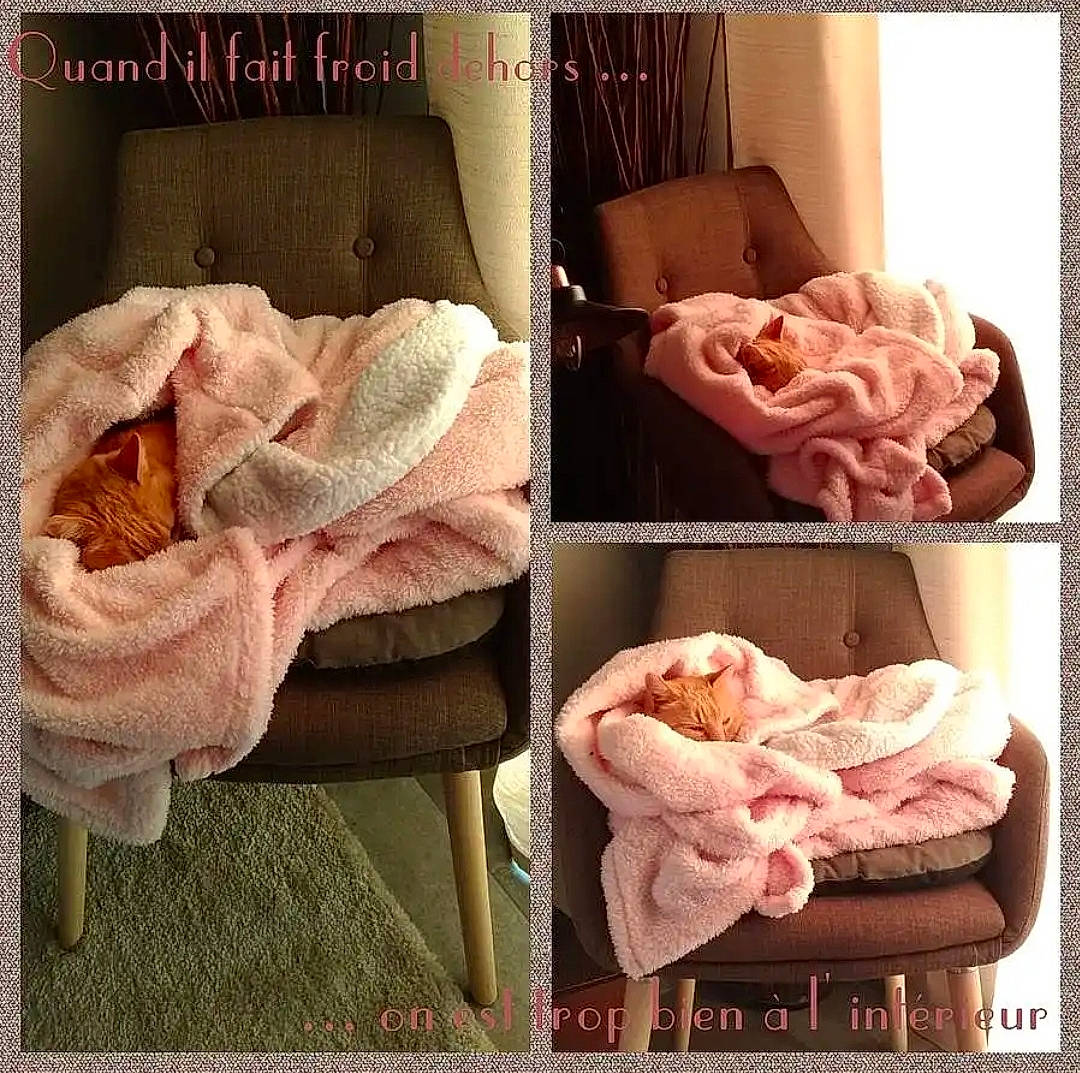 Eiffel a rejoint le concours — aidez-le/la à gagner de superbes lots ! baby_products, bed_sheet, bedding, bedroom, blanket, craft, creative_arts, crochet, cushion, home_accessories, linens, peach, pillow, pink, product, textile, thread, throw_pillow, wool, woolen