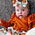 Maddison