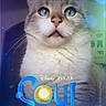 Ja-z participe au concours pour gagner de l'argent avec cette photo : Disney, Pixar, animal, blue, cat, closeup, curious, cute, digital_art, expression, eyes, feline, fur, glowing, indoor, movie_poster, pet, portrait, text_overlay, whiskers