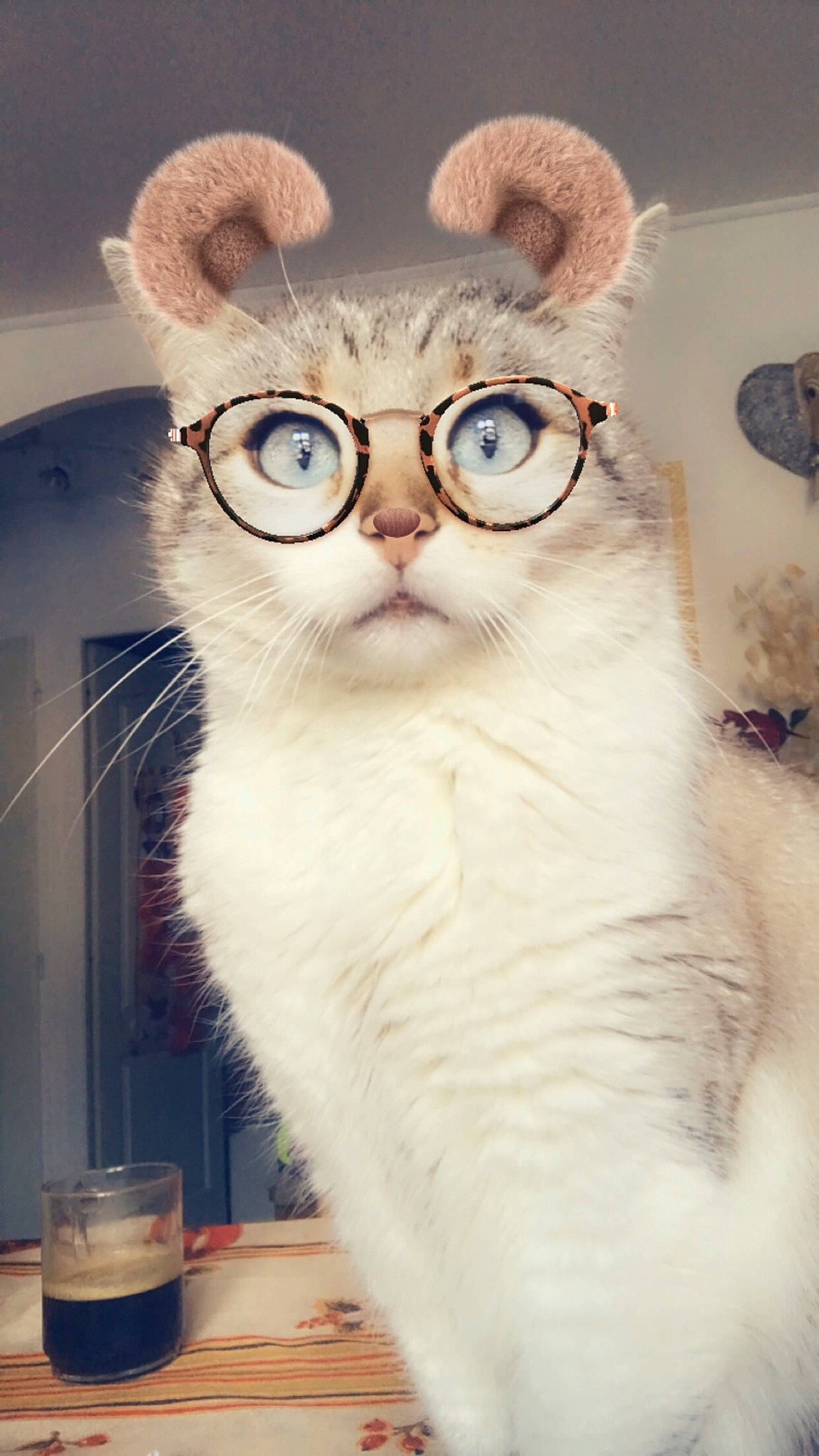 Ja-z