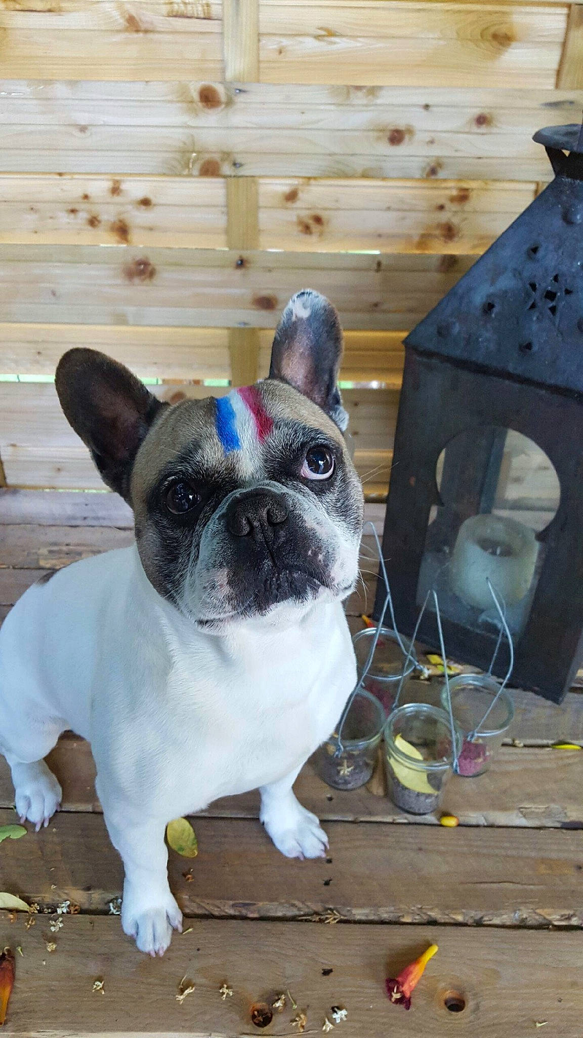 Boudha participe au concours pour gagner de l'argent avec cette photo :