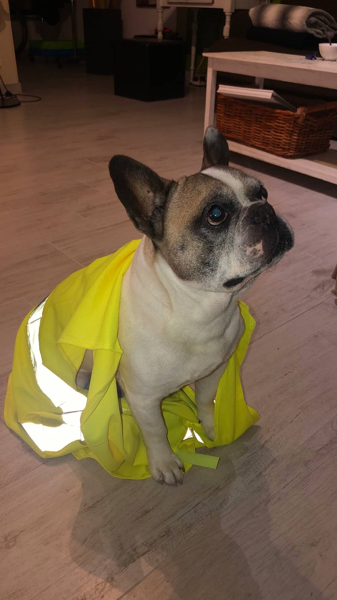 Boudha participe au concours pour gagner de l'argent avec cette photo :