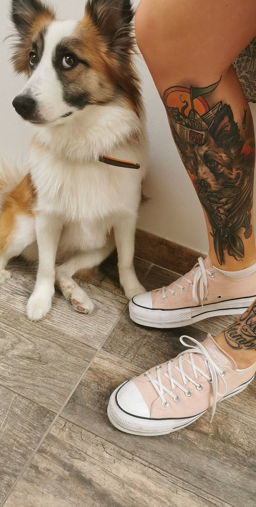 Navy a rejoint le concours — aidez-le/la à gagner de superbes lots ! athletic_shoe, calf, carmine, carnivore, companion_dog, dog, dog_breed, fashion_design, flooring, foot, footwear, fur, human_leg, pattern, tail, temporary_tattoo, thigh, walking_shoe, whiskers, white